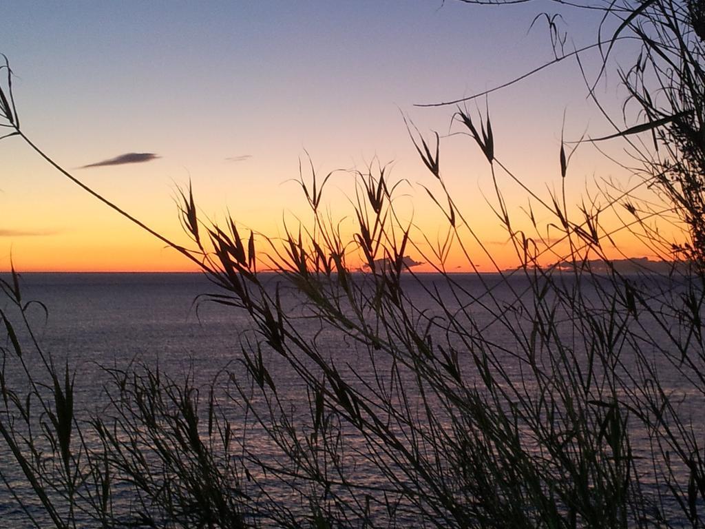 Agriturismo Gocce Di Luna Celle Ligure Pokój zdjęcie
