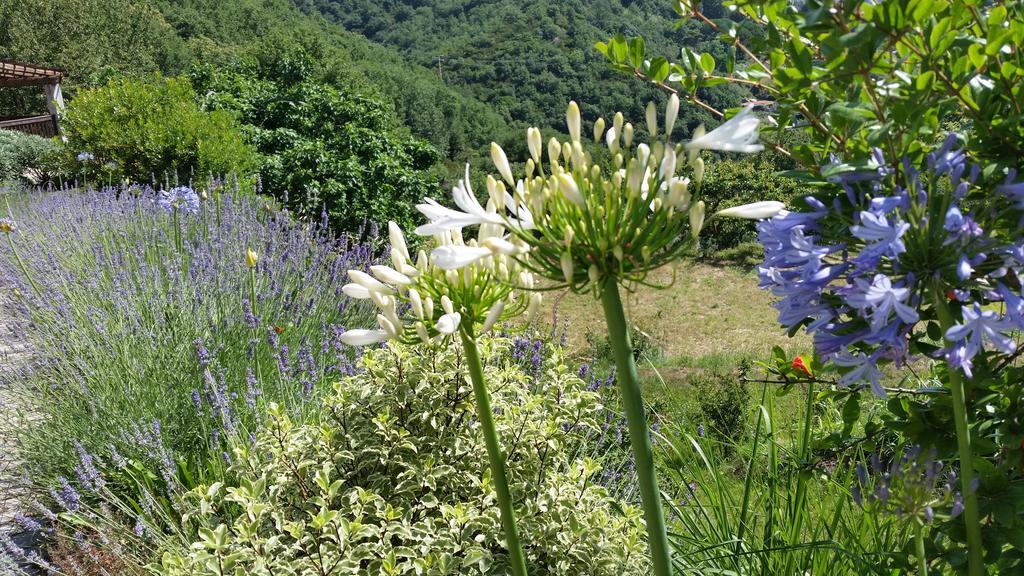 Agriturismo Gocce Di Luna Celle Ligure Zewnętrze zdjęcie