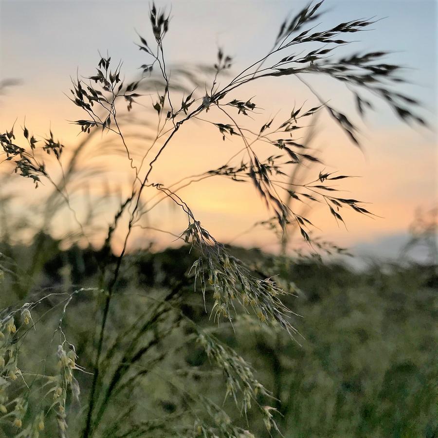 Agriturismo Gocce Di Luna Celle Ligure Zewnętrze zdjęcie