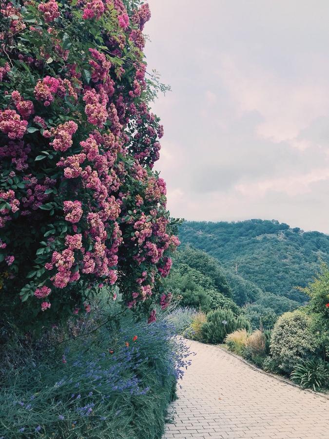 Agriturismo Gocce Di Luna Celle Ligure Zewnętrze zdjęcie